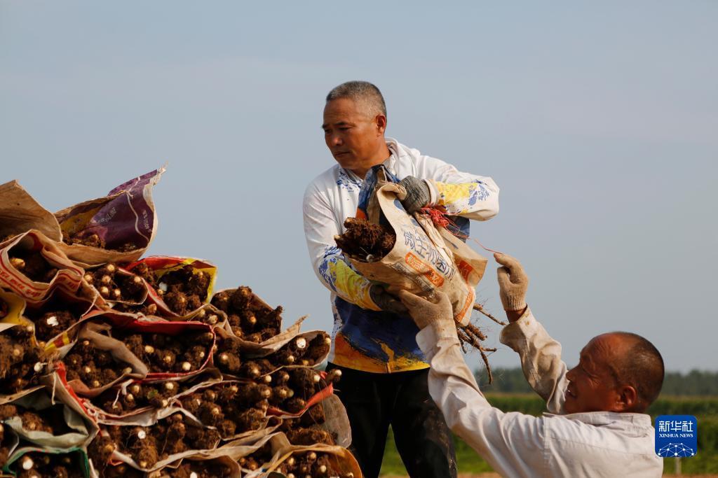 捕鱼游戏电脑版,下载游戏捕鱼打鱼可味